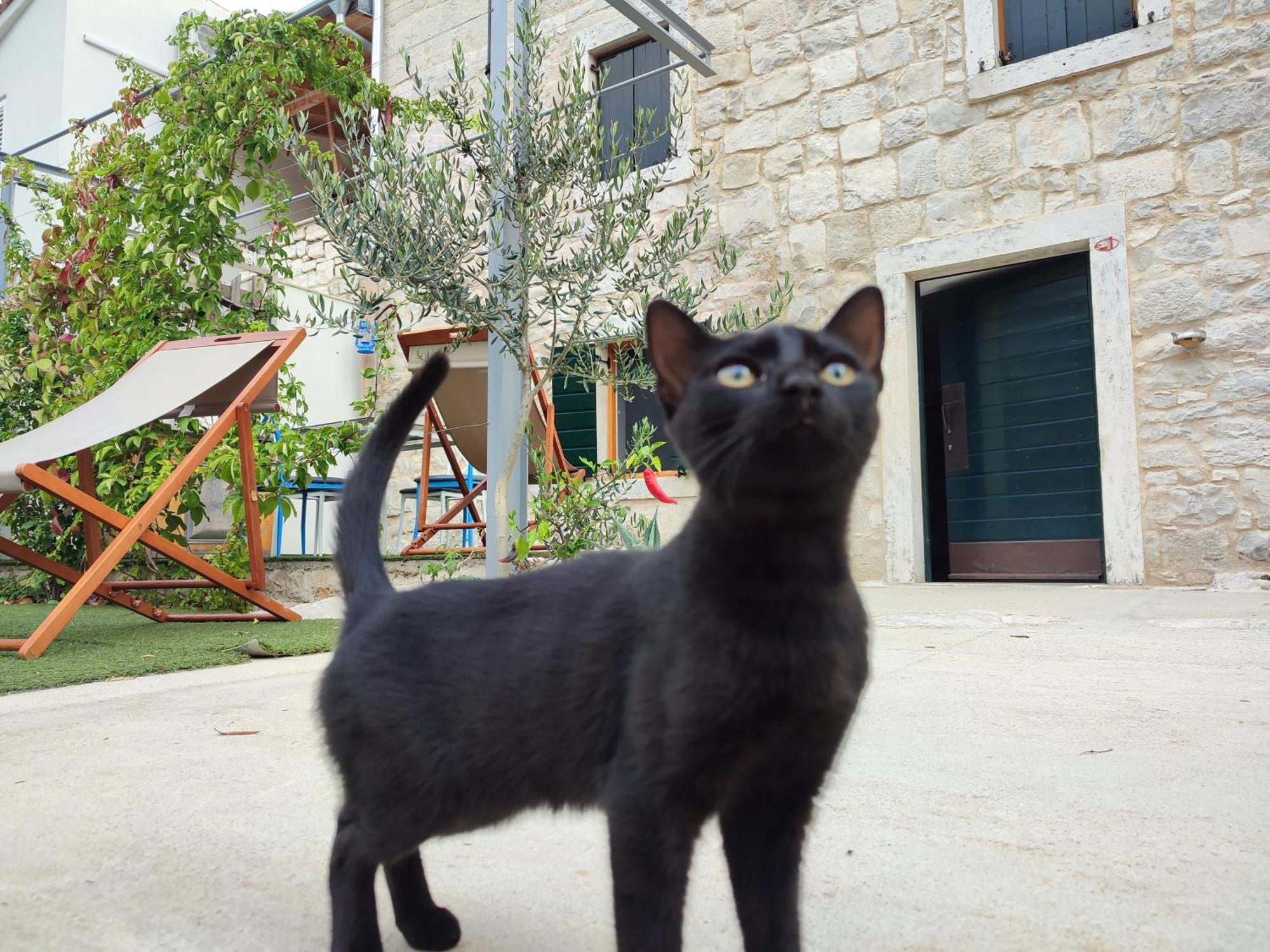 Apartmani Peljesac Sova Sreser Exterior foto